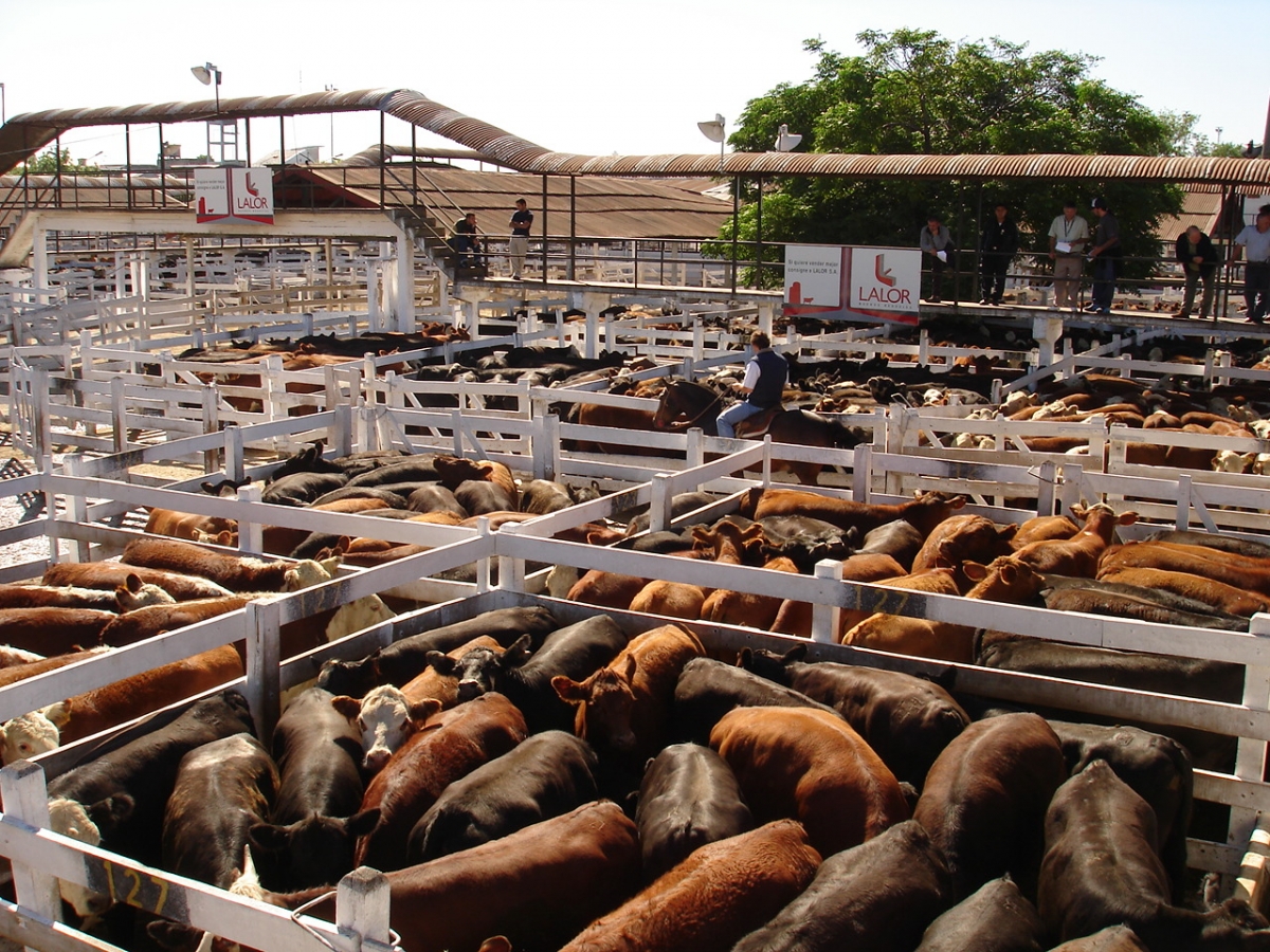 Mercado de Liniers