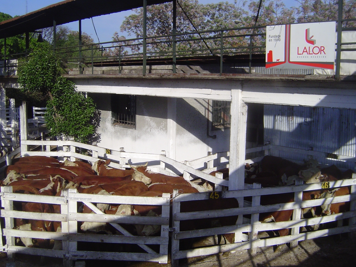Mercado de Liniers