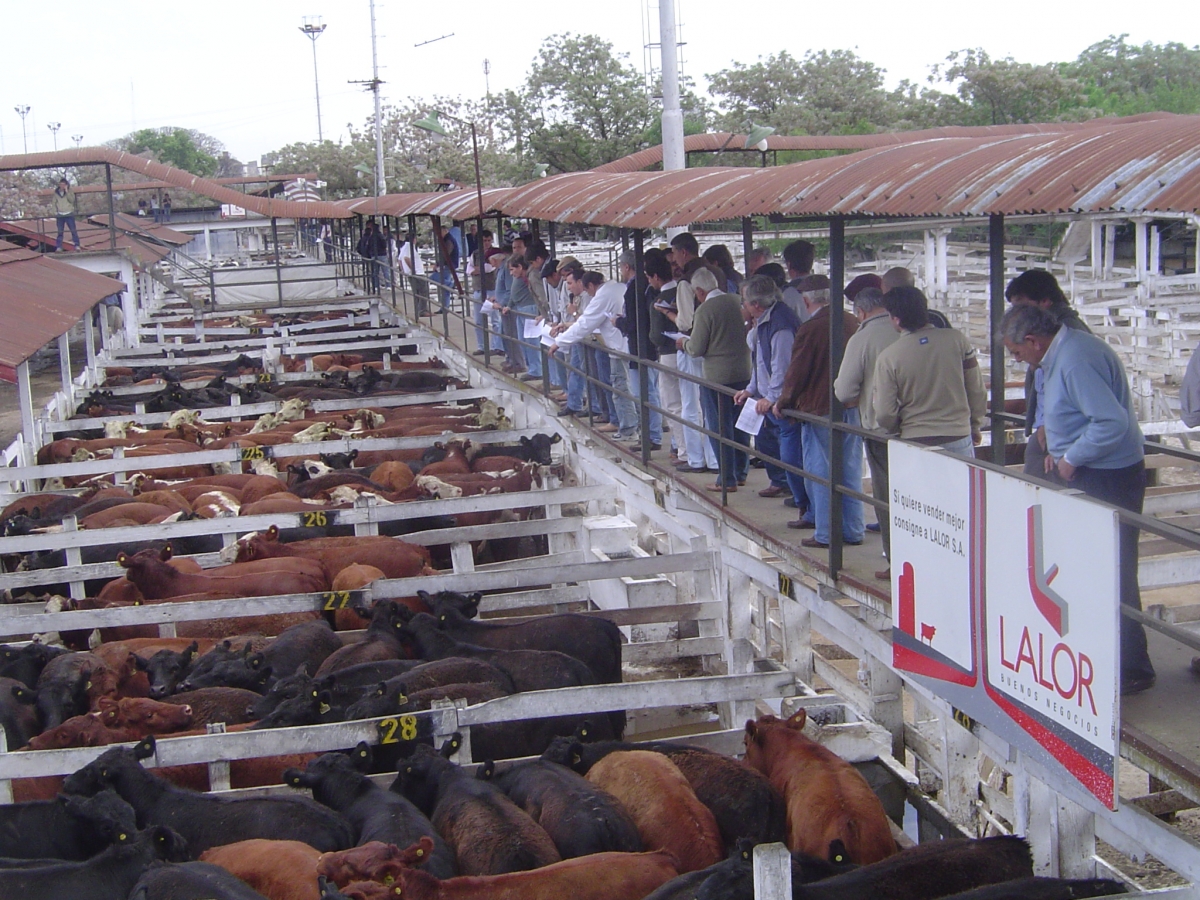 Mercado de Liniers