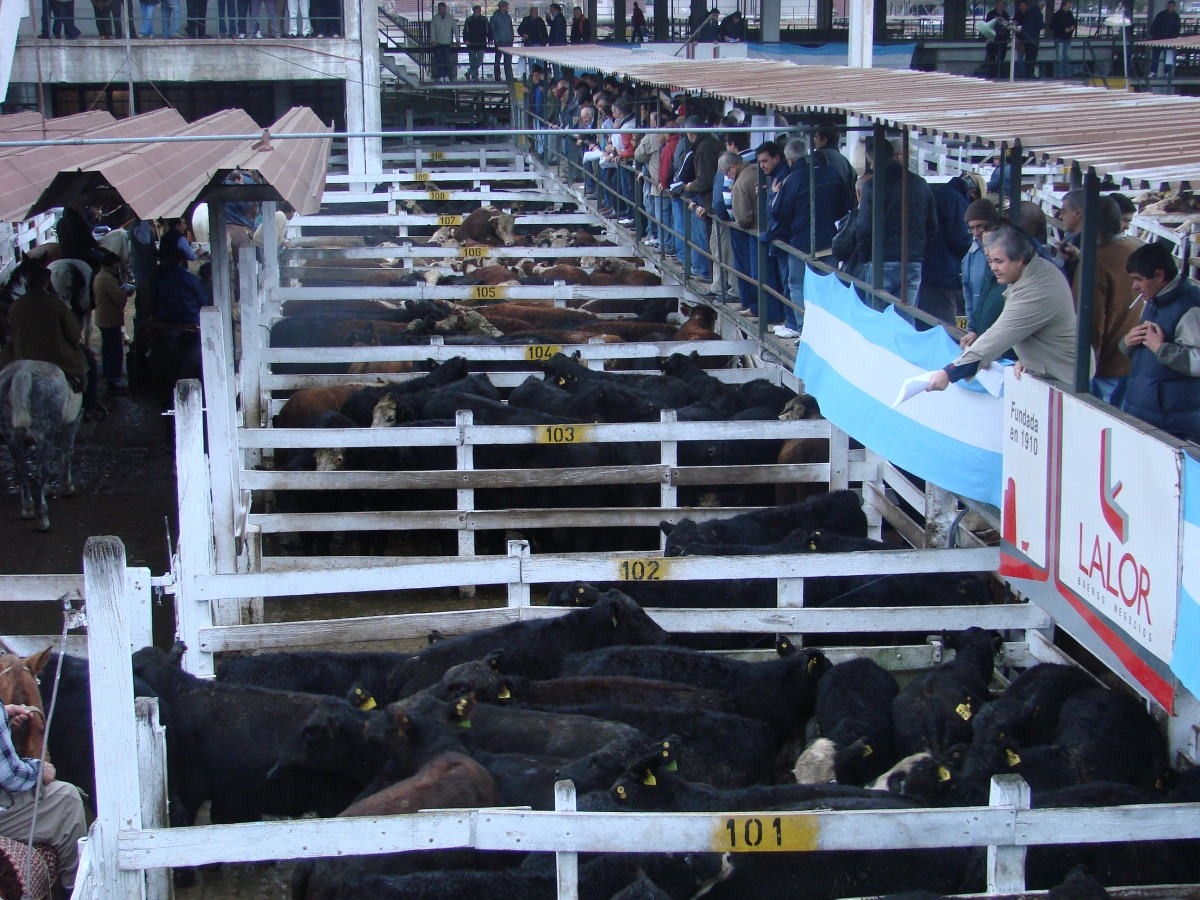 Mercado de Liniers